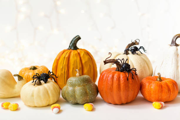istock Halloween pumpkins with spider 1044935592
