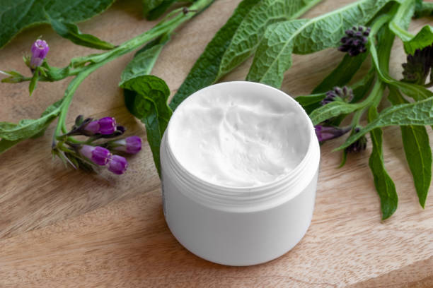 Comfrey cream with fresh blooming symphytum officinale