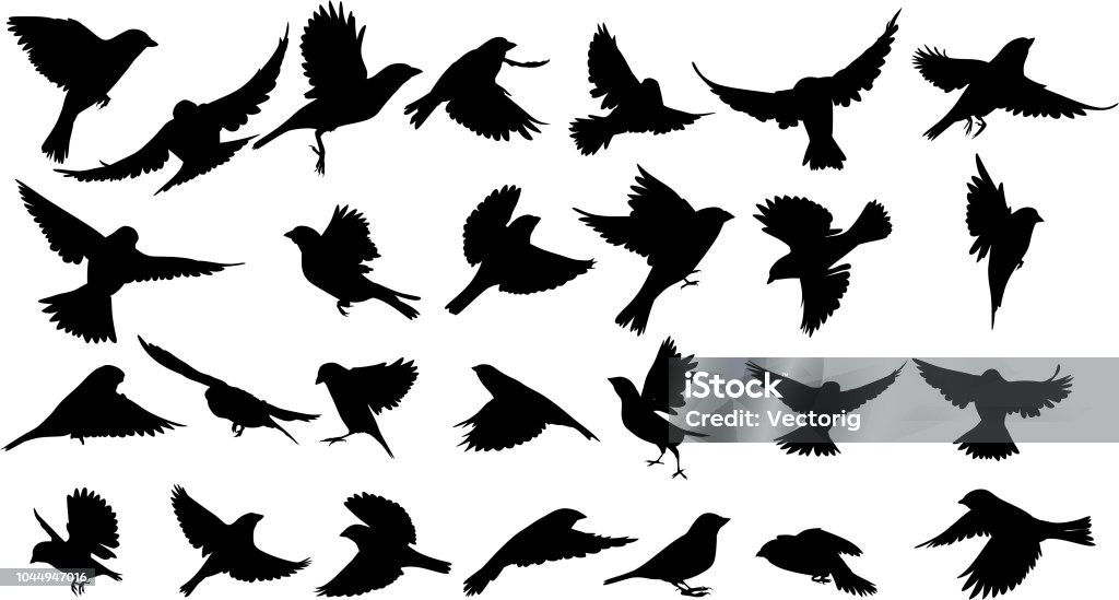 Sylwetka wróbla - Grafika wektorowa royalty-free (Ptak)