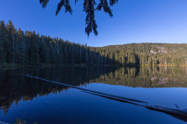 istock hideaway lake in Oregon 1044961356