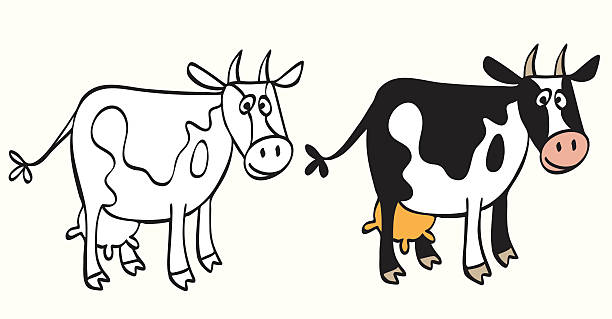 Cow vector art illustration