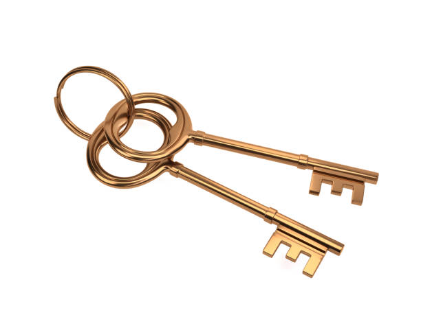 istock metal keys on white background - gold - 3d illustration - rendering 1044980502