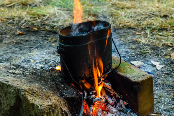 istock Cooking food in a kettle on bonfire 1044985328