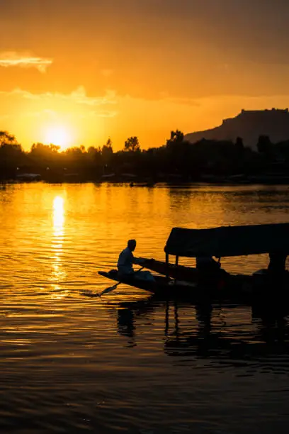 A silhouette of a Boat Rider formed in the Dal Lake during sunset in Dal Lake, Jammu & Kashmir, India