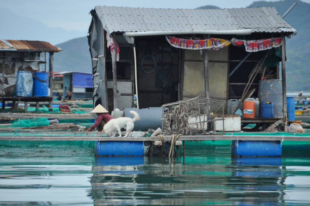 istock Buildings on the water in Vietnam 1044989684