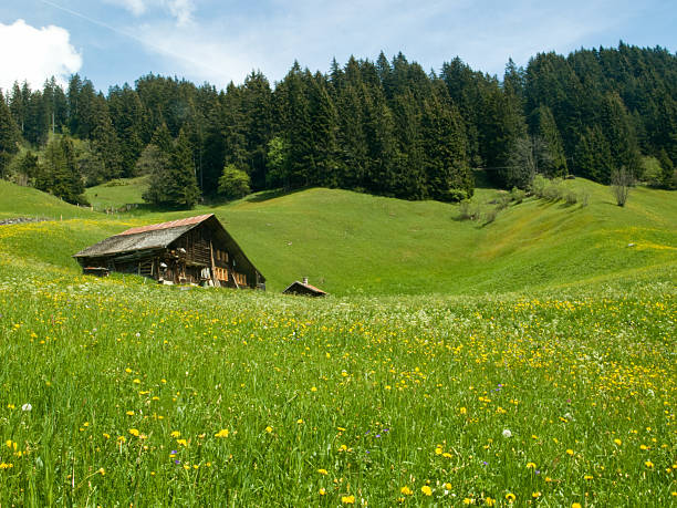 Beautiful landscape in Switzerland. Peak Jungfraujoch in Interlaken County. Lauterbrunnen village