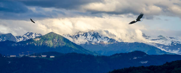 vista delle montagne delle alpi al tramonto, svizzera - eagle tower foto e immagini stock