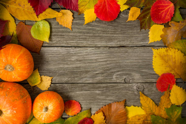 istock Multicolored different autumn leaves on a wooden background as a frame, background, texture, concept. 1045009604