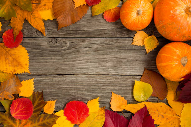 istock Multicolored different autumn leaves on a wooden background as a frame, background, texture, concept. 1045012026