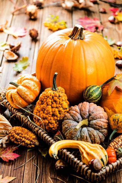 istock Halloween pumpkin on dark wooden Background 1045026720