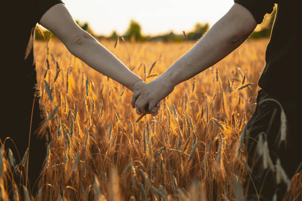 istock couple holding hands in a wheat field 1045026774