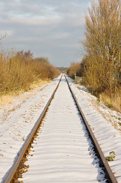 istock Tracks in the Snow 104502729