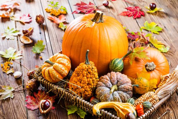 istock Halloween pumpkin on dark wooden Background 1045029216
