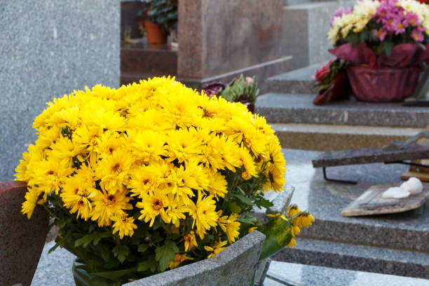 istock Chrysanthemum plant on a tombstone 1045036458