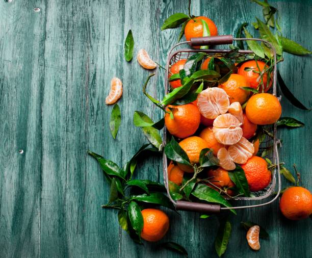 istock Fresh picked mandarins in old metal basket 1045038780