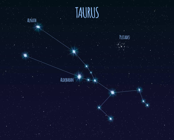 ilustraciones, imágenes clip art, dibujos animados e iconos de stock de constelación de taurus (el toro), ilustración del vector con los nombres de estrellas básicas - las pléyades