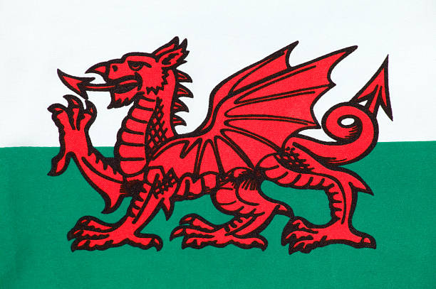 bandeira galesa - welsh flag welsh culture flag green - fotografias e filmes do acervo