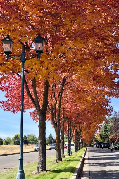 istock Beautiful Autumn Scene 1045047890