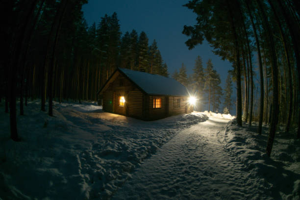 istock A lonely house in a pine forest 1045054072