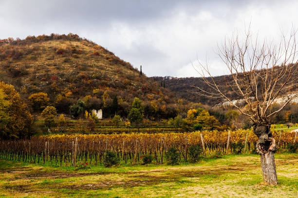 istock Franciacorta Autumn 1045066398