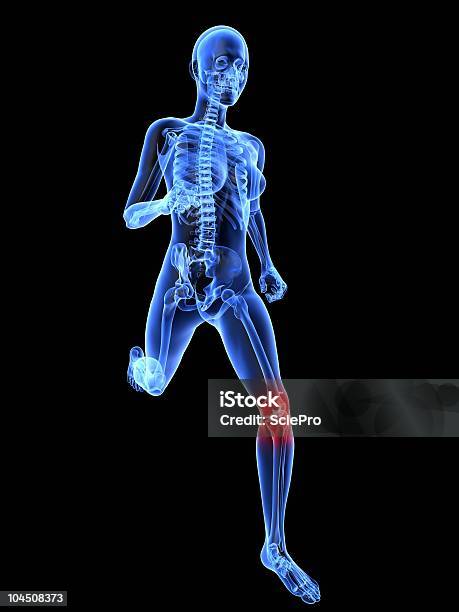 Schmerzhafte Knie Illustrationen Stockfoto und mehr Bilder von Anatomie - Anatomie, Biomedizinische Illustration, Blau