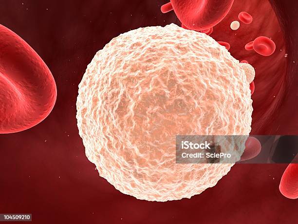 Photo libre de droit de Globules Blancs banque d'images et plus d'images libres de droit de Globules blancs - Globules blancs, Artère humaine, Biologie