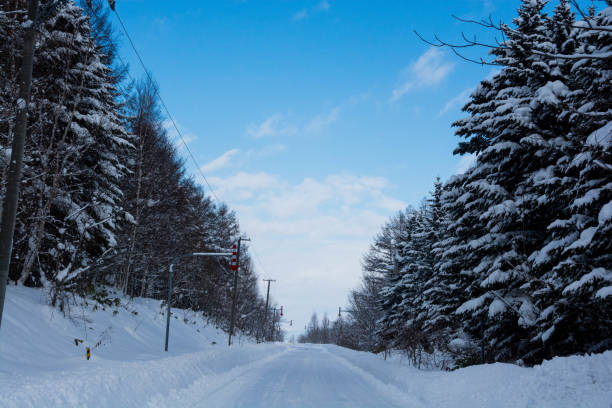 istock Blue sky and winter road 1045096260