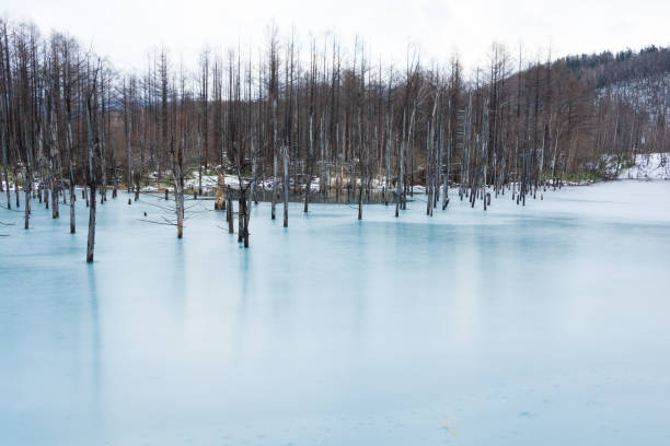 istock Winter lake in Biei 1045096276
