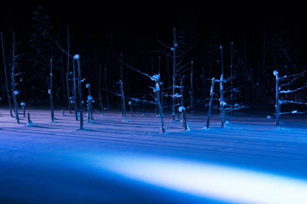 istock Lights up night lake in Biei 1045096292