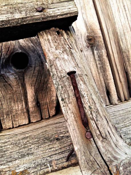 istock Old rusty nail into a wooden fence 1045106186