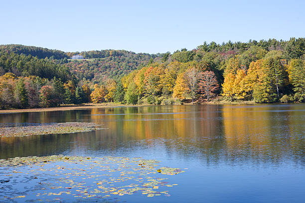 istock Fall colors in Moses H Cone Memorial Park 104512163