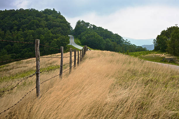 Waving grasses along the Blue Ridge Parkway stock photo