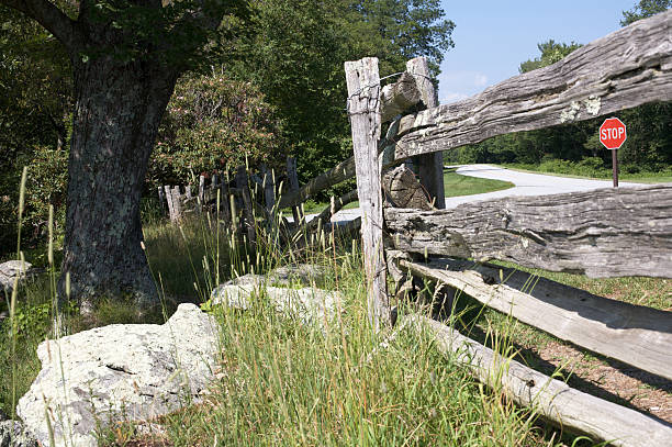 istock Stopping to enjoy the landscape 104512165