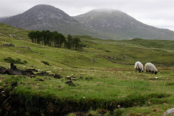 Irish landscape from the Conemara stock photo