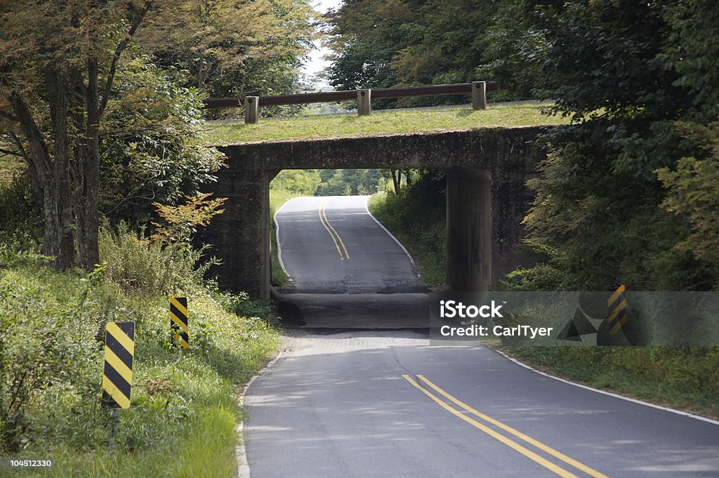 Montagnes Blue Ridge drive - Photo de Blue Ridge Parkway - Appalaches libre de droits