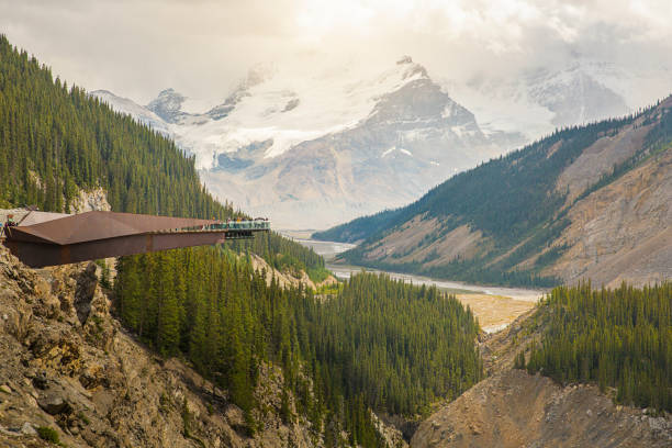 istock Glacier Skywalk during summer in Jasper National Park 1045124720