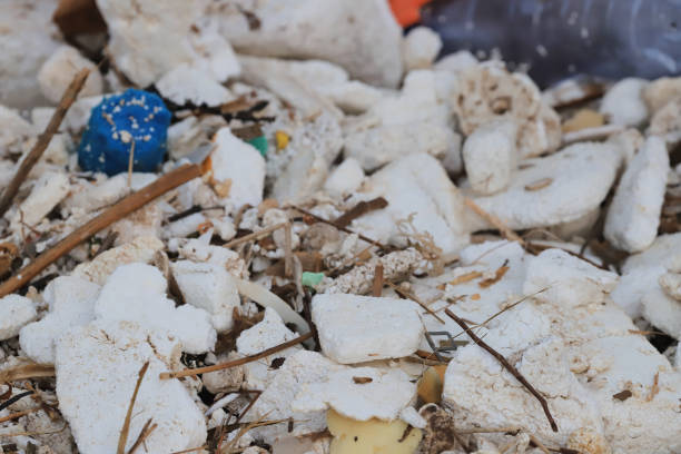 istock the Plastic thrown directly into the sea 1045130506