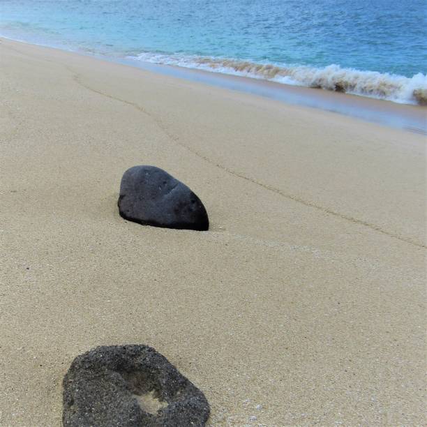 istock Shells, coconut husks and volcanic rocks on Oahu Hawaii beaches 1045133360