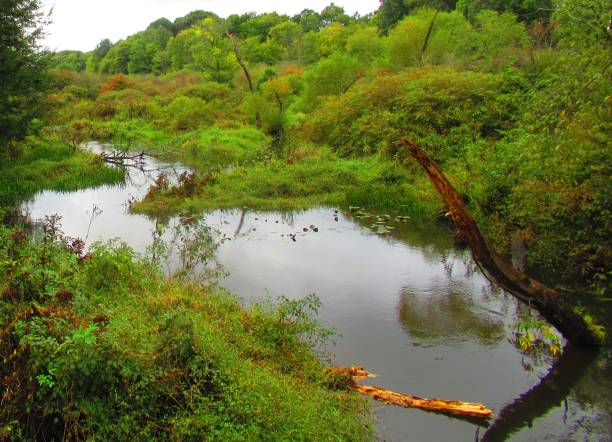 istock scenic views of a stream 1045134020