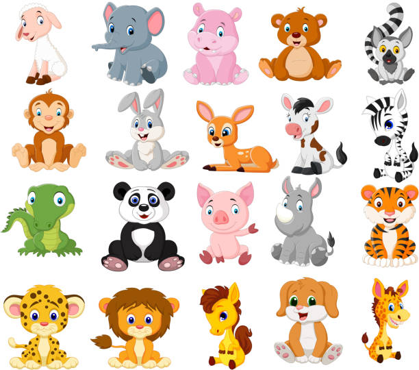 Cartoon animals collection set Vector illustration of Cartoon animals collection set crocodile smile stock illustrations
