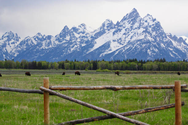 istock Grand Teton National Park 1045152450