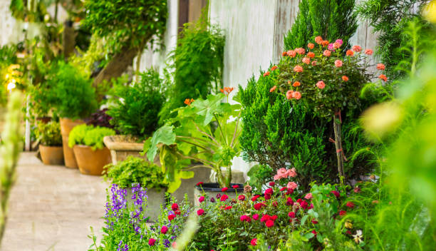 istock Antique zinc planter in garden. 1045154982