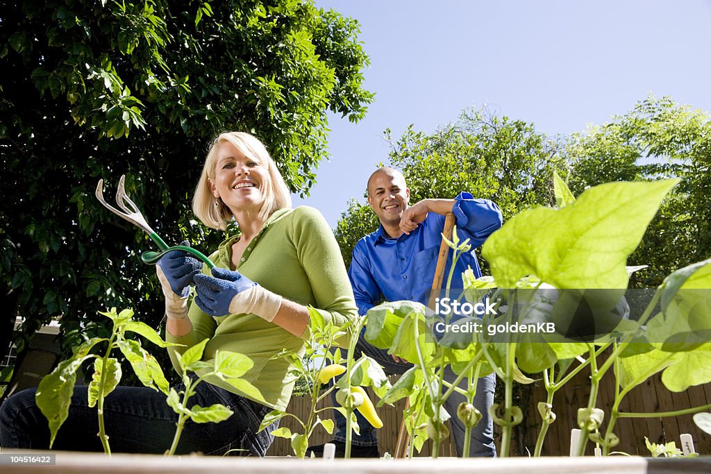 Couple working on vegetable garden in backyard  30-34 Years Stock Photo