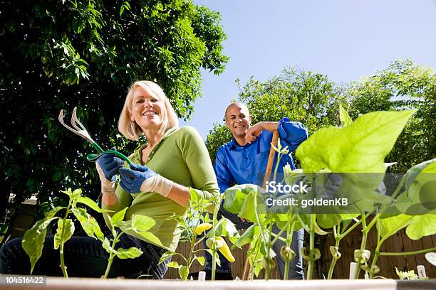 Couple Working On Vegetable Garden In Backyard Stock Photo - Download Image Now - 30-34 Years, 30-39 Years, 35-39 Years