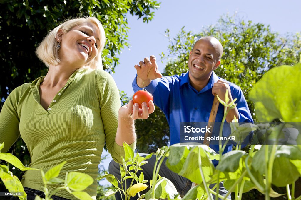 Coppia che lavora in orto in cortile - Foto stock royalty-free di 30-34 anni