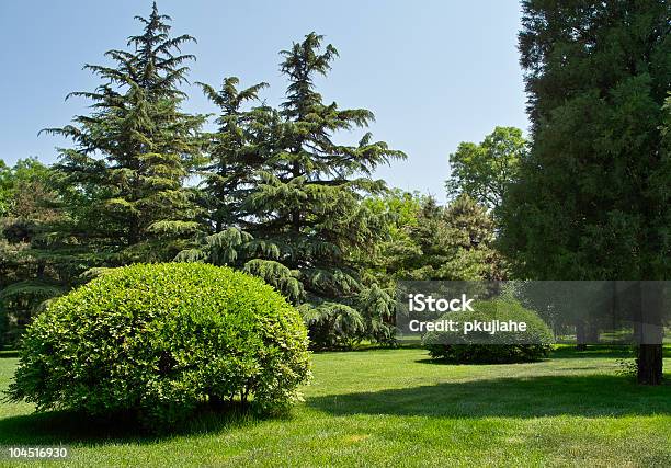 Prado Y Árbol Foto de stock y más banco de imágenes de Aire libre - Aire libre, Ajardinado, Arbusto