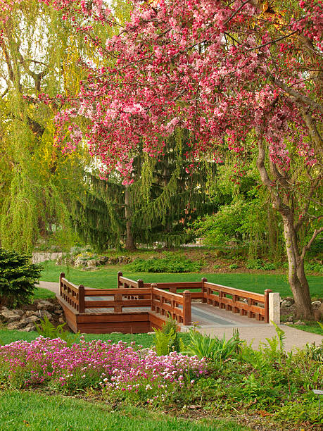 In the spring along the Boise River just a few steps off the Greenbelt, nature shows off her colors.