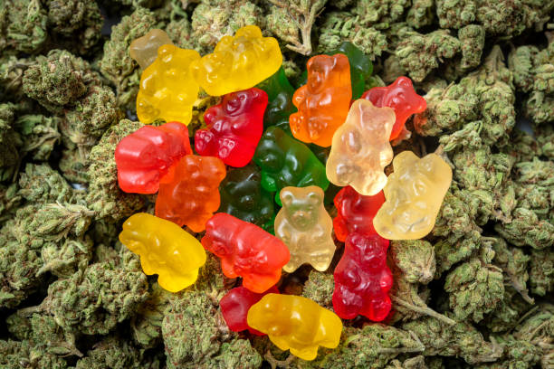 Organic Marijuana Gummy Bear Candies Stack of Organic Marijuana Gummy Bear Candies close up cannabis gummy bears stock pictures, royalty-free photos & images