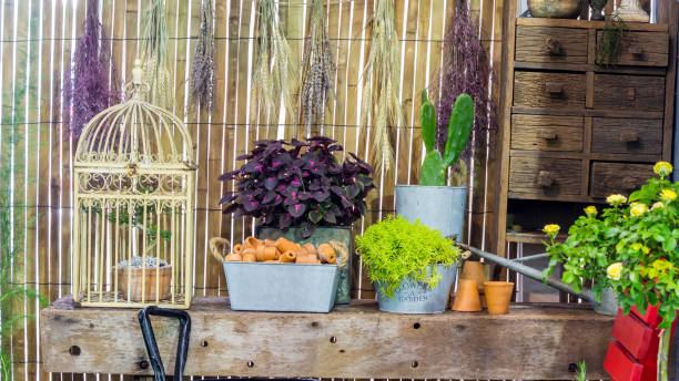 istock Relaxing area in cozy home garden on summer. 1045182798