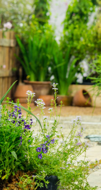 istock Wood pathway in garden. 1045188274